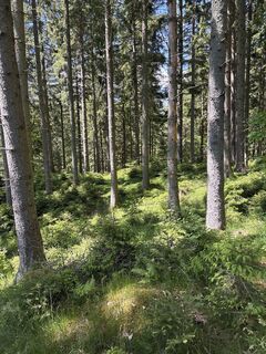 Foto von Mandy Friedrich entlang der Tour