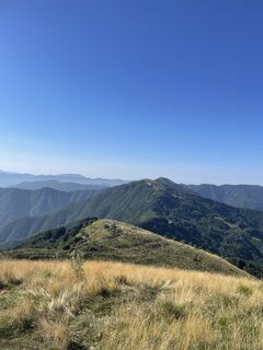 Fotografie z Filippo Zanardi na trase