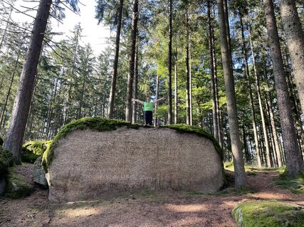 Photo from Dominik Go along the tour