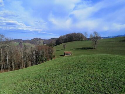 Fotografija s spletne strani Christina Turnwald na poti