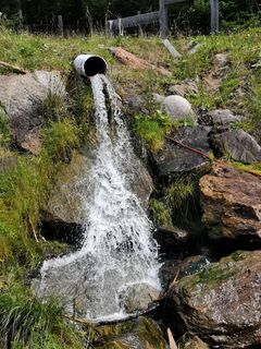 Foto von Schabsi entlang der Tour
