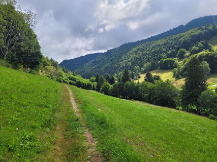 Fotografia z Liddeldi na trase