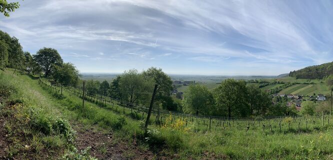 Zdjęcie z Dirk Steinert wzdłuż trasy