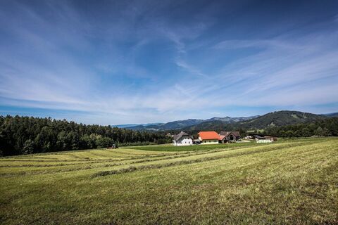 Blick von der Freßnitz (c) W. Gasser