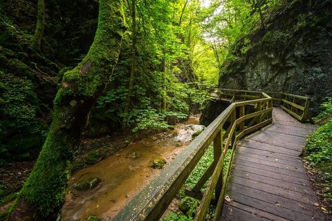Johannesbachklamm Würflach