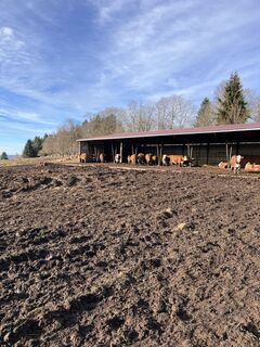 Foto de Hans Felli a lo largo del recorrido