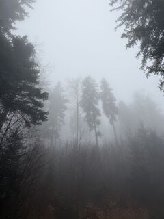 Fotografija s spletne strani Vitalii Vdovin na poti
