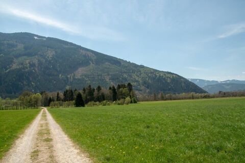 da vorne gehts los