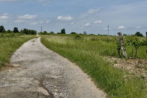 Fotografia z Rene Haidacher na trase