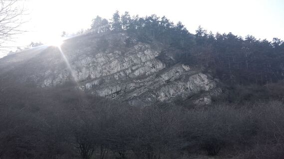 Zdjęcie z Tímea Kissné Virágos wzdłuż trasy