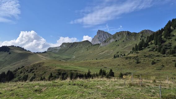 Fotografia z alinradu na trase