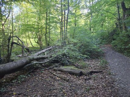 Photo de Fredl3033 le long du parcours