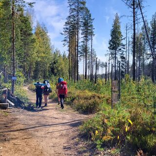 Entlang der Strecke kann man einen abgebrannten Wald erkunden.