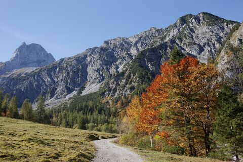 Pertisau, Gramai Alm_Tirol Werbung_Rathmayr Michael_Pertisau am Achensee.jpg