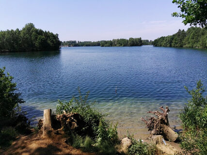 Effelder Waldsee