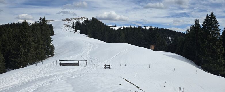 Fotografie z Gmiasmo na trase