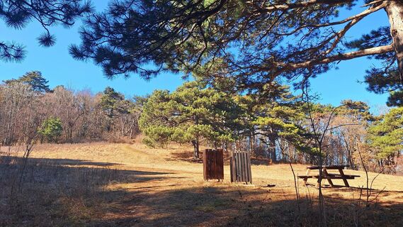 Fotografia z Regina Fleischmann na trase