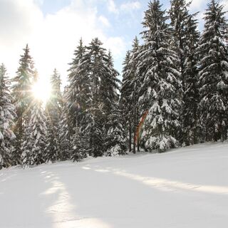 Winterwanderweg