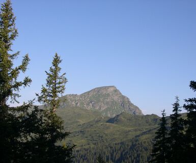 Gaisstein - 2.363m - einer höchsten Grasberge Europas