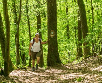 Bei der Sprengelburg