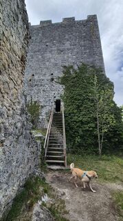 Foto von Claudia Maurer entlang der Tour