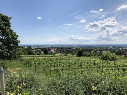 Foto von Karin Hallwirth entlang der Tour