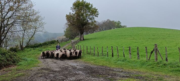 Zdjęcie z Patrice Gouspy wzdłuż trasy