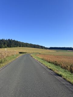 Foto von Ingrid Silvia Jansky entlang der Tour
