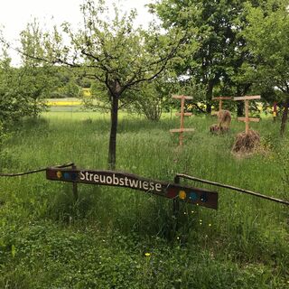 Schulgarten Wilhelm-Henneberg-Schule