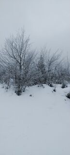 Zdjęcie z Gabriele Ravasi wzdłuż trasy