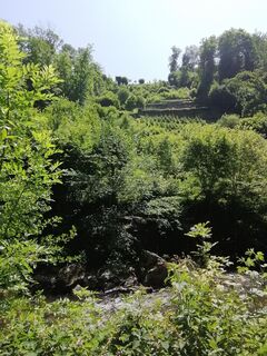 Foto från Michael Gschwandtner under resans gång