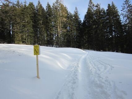 Schneeschuh- &amp; Skitourentrail - Hütteneck in Bad Goisern am Hallstättersee