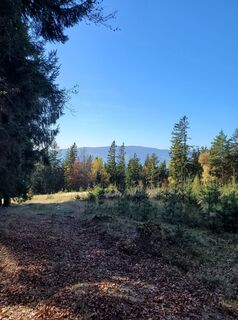 Foto van Franz Bauer 9 langs de tour