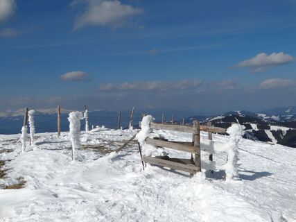 Schneeschuhwandern auf den Speikkogel