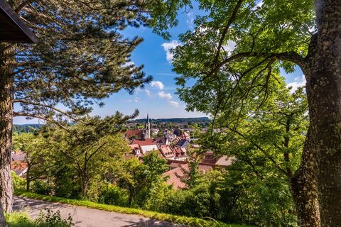 Blick auf Löffingen