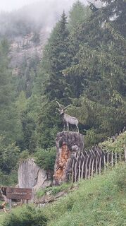 Foto von Sándor Kis 1 entlang der Tour