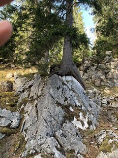 Zdjęcie z Wilhelm Böning wzdłuż trasy