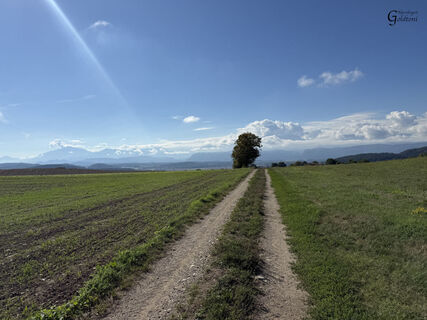 A171 Klagenfurt Annabichl - Brückl