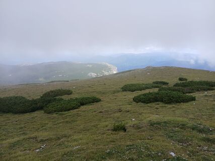 Foto de Helga Schüttengruber a lo largo del recorrido