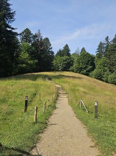 Fotografia z Whitney Dreams na trase