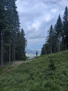 Fotografia z Peter Dorrighi na trase