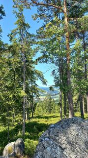 Fotografie de la Inge Stix de-a lungul turului