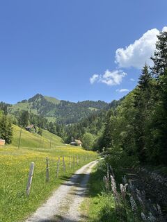 Fotografija s spletne strani Rolf Limacher na poti