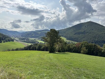 Fotografie z Georgiamartin0815 na trase