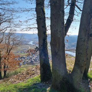 Foto von Bettina Lotz entlang der Tour