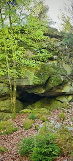 Foto de ReginaSt a lo largo del recorrido