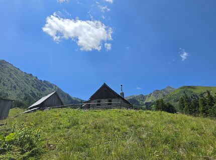 Fotografija s spletne strani MRDL na poti
