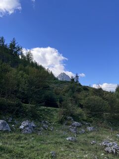 Photo de A Aichinger 1 le long du parcours