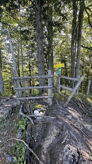 Foto von Kerstin Ratzinger entlang der Tour