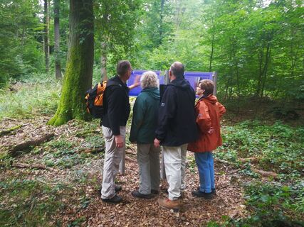 Dendrochronologie